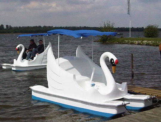 Swan water rides