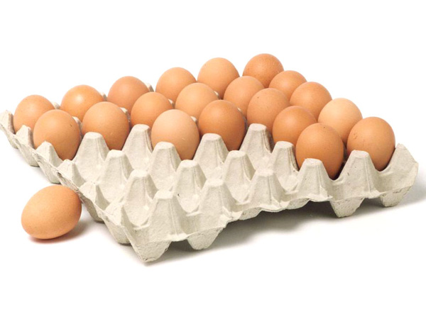 paper eggs trays