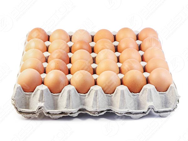 Paper Egg Trays